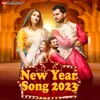 About New Year Song 2023 Song